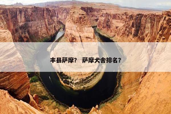 丰县萨摩？ 萨摩犬舍排名？