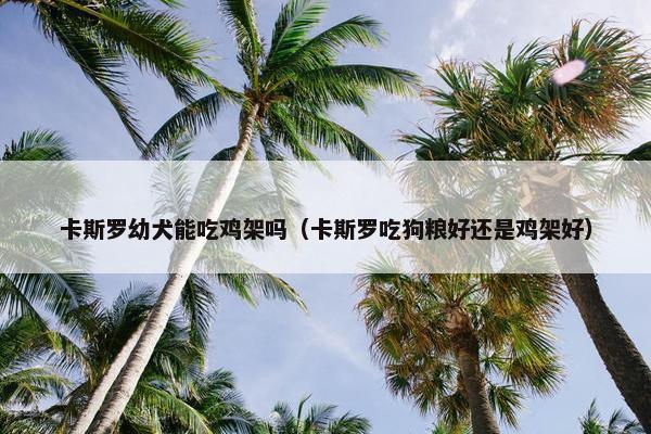 卡斯罗幼犬能吃鸡架吗（卡斯罗吃狗粮好还是鸡架好）