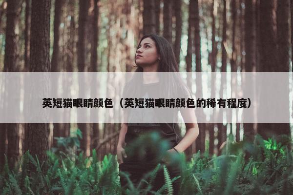 英短猫眼睛颜色（英短猫眼睛颜色的稀有程度）