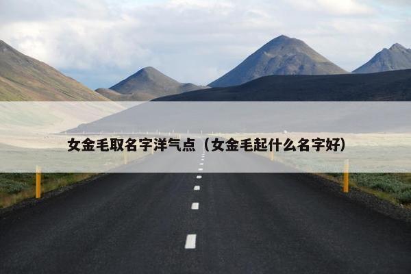 女金毛取名字洋气点（女金毛起什么名字好）