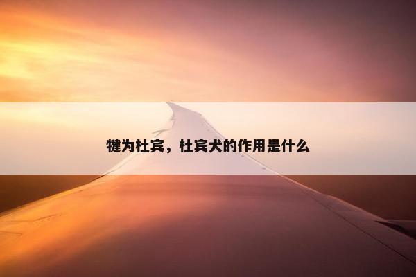 犍为杜宾，杜宾犬的作用是什么