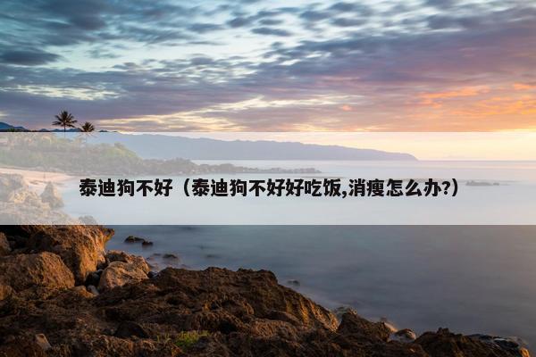 泰迪狗不好（泰迪狗不好好吃饭,消瘦怎么办?）