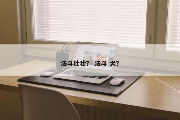法斗壮壮？ 法斗 犬？