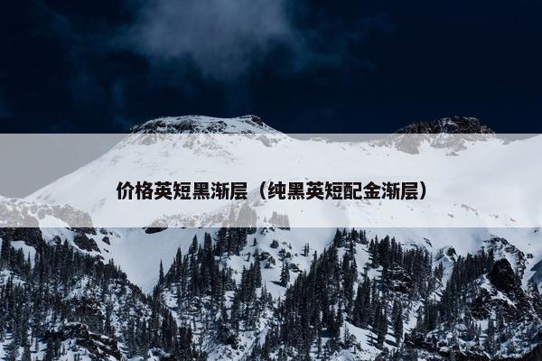 价格英短黑渐层（纯黑英短配金渐层）