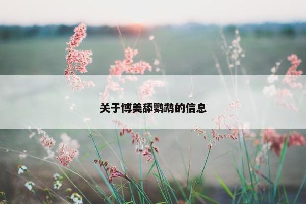 关于博美舔鹦鹉的信息