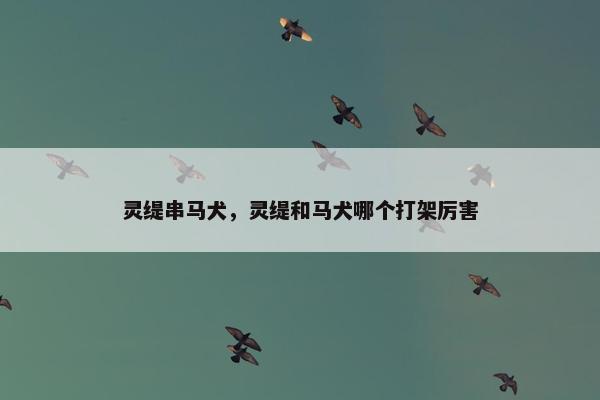 灵缇串马犬，灵缇和马犬哪个打架厉害