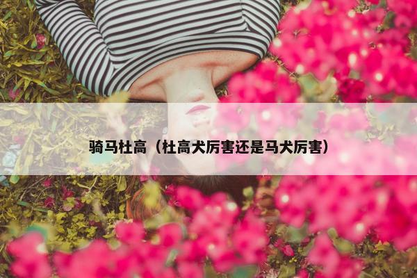 骑马杜高（杜高犬厉害还是马犬厉害）