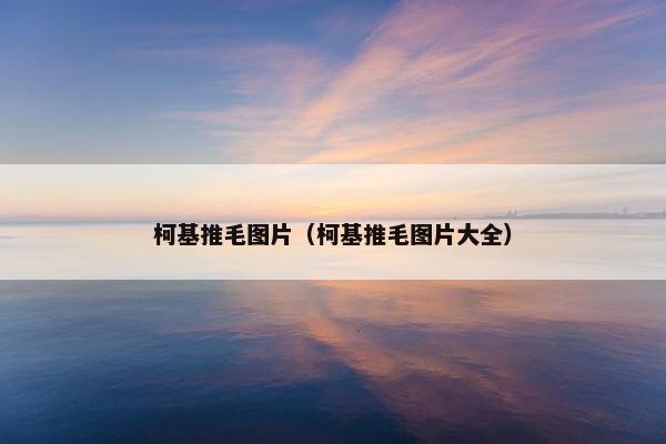 柯基推毛图片（柯基推毛图片大全）