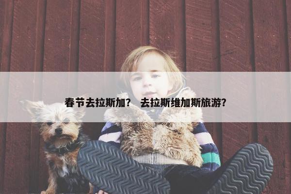 春节去拉斯加？ 去拉斯维加斯旅游？