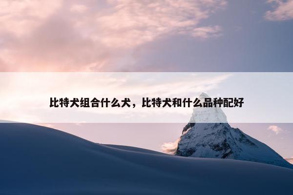 比特犬组合什么犬，比特犬和什么品种配好