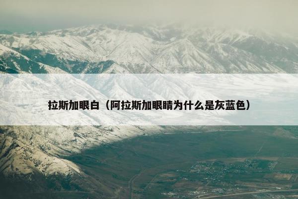拉斯加眼白（阿拉斯加眼睛为什么是灰蓝色）