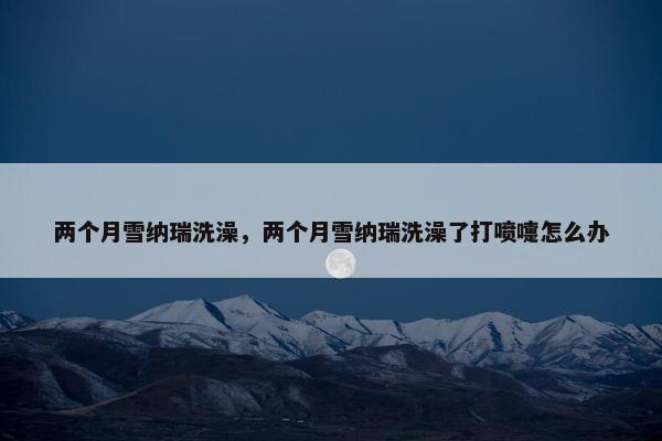 两个月雪纳瑞洗澡，两个月雪纳瑞洗澡了打喷嚏怎么办