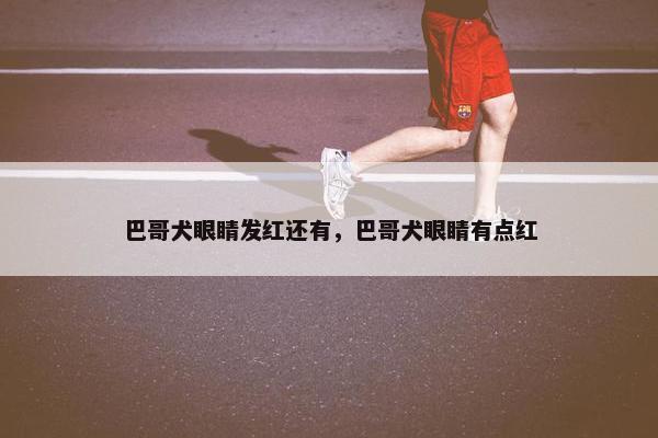 巴哥犬眼睛发红还有，巴哥犬眼睛有点红