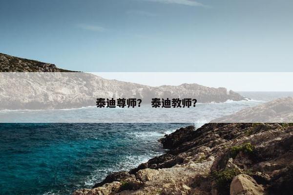泰迪尊师？ 泰迪教师？