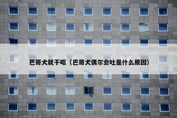 巴哥犬就干呕（巴哥犬偶尔会吐是什么原因）