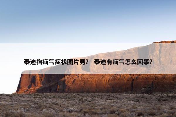 泰迪狗疝气症状图片男？ 泰迪有疝气怎么回事？