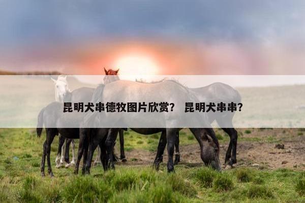 昆明犬串德牧图片欣赏？ 昆明犬串串？