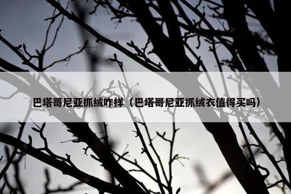 巴塔哥尼亚抓绒咋样（巴塔哥尼亚抓绒衣值得买吗）