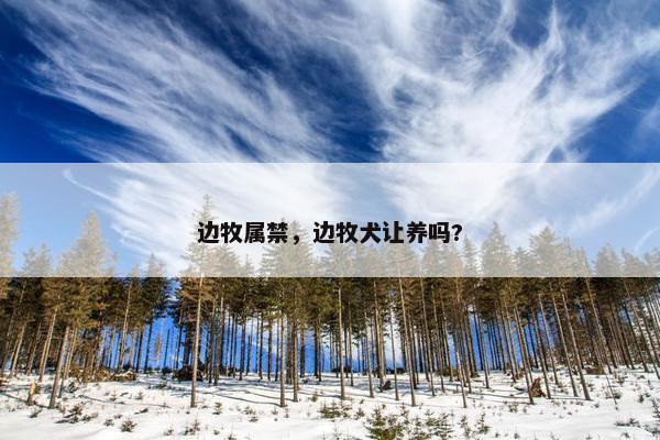 边牧属禁，边牧犬让养吗?