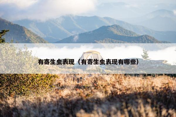 有寄生虫表现（有寄生虫表现有哪些）
