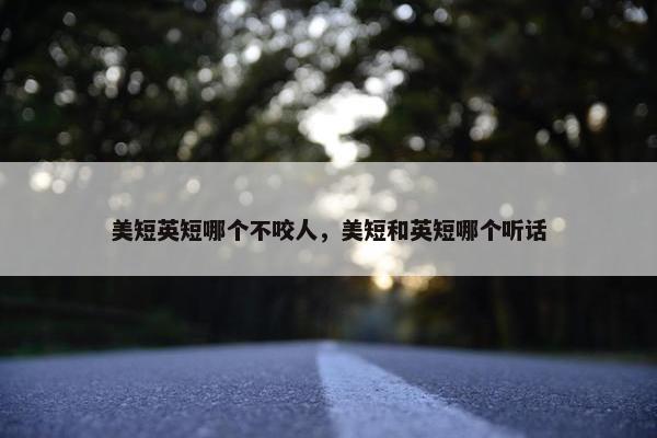 美短英短哪个不咬人，美短和英短哪个听话