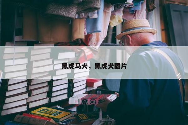 黑虎马犬，黑虎犬图片