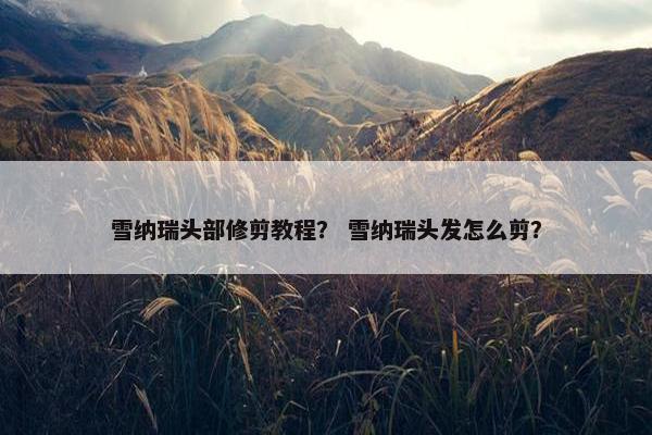 雪纳瑞头部修剪教程？ 雪纳瑞头发怎么剪？
