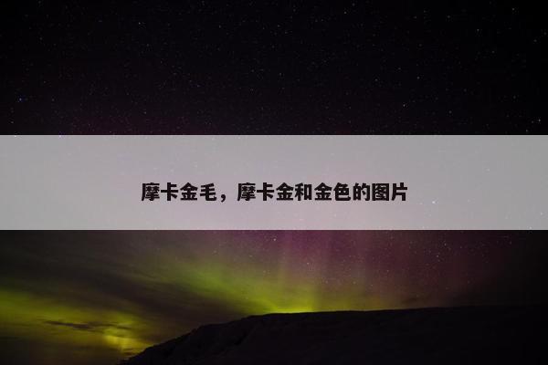 摩卡金毛，摩卡金和金色的图片