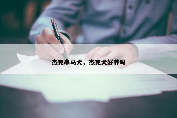 杰克串马犬，杰克犬好养吗