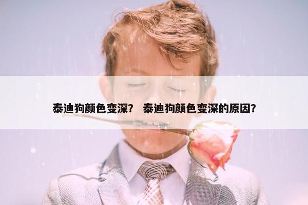 泰迪狗颜色变深？ 泰迪狗颜色变深的原因？