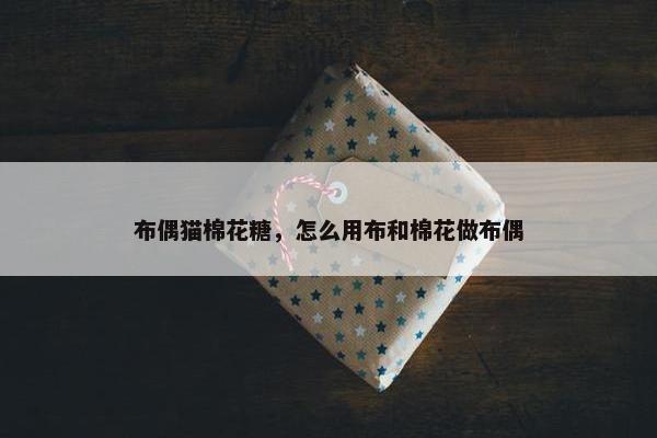 布偶猫棉花糖，怎么用布和棉花做布偶