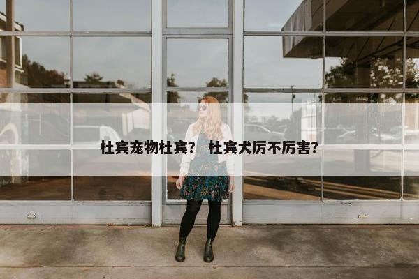 杜宾宠物杜宾？ 杜宾犬厉不厉害？
