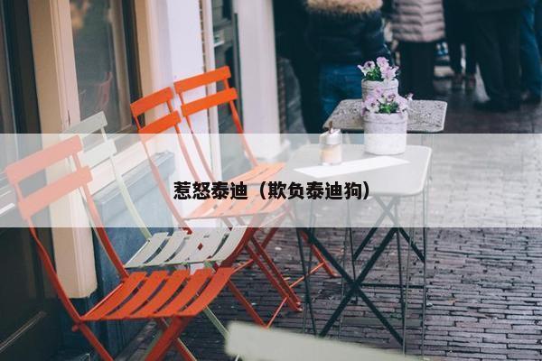 惹怒泰迪（欺负泰迪狗）