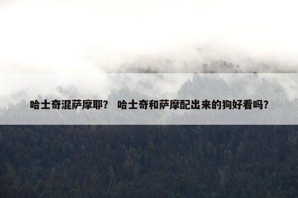 哈士奇混萨摩耶？ 哈士奇和萨摩配出来的狗好看吗？