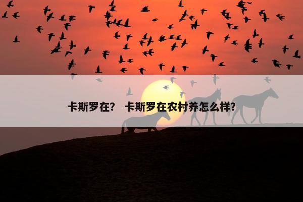 卡斯罗在？ 卡斯罗在农村养怎么样？