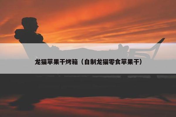 龙猫苹果干烤箱（自制龙猫零食苹果干）