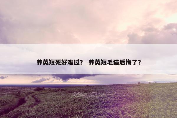 养英短死好难过？ 养英短毛猫后悔了？