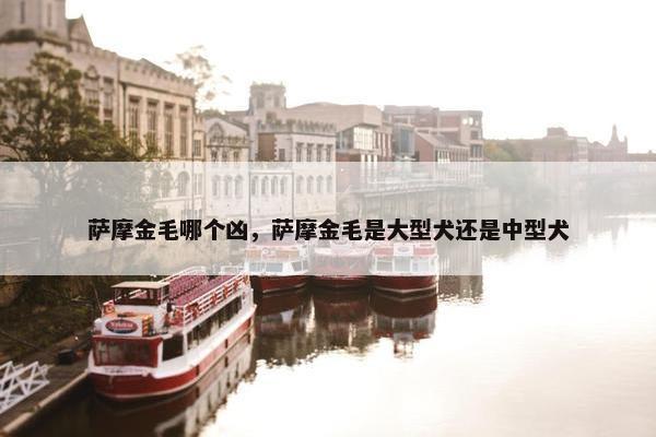 萨摩金毛哪个凶，萨摩金毛是大型犬还是中型犬