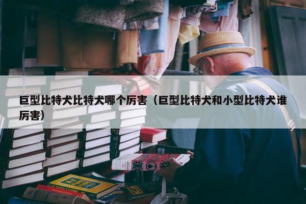巨型比特犬比特犬哪个厉害（巨型比特犬和小型比特犬谁厉害）