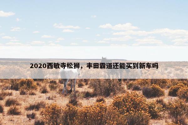 2020西敏寺松狮，丰田霸道还能买到新车吗