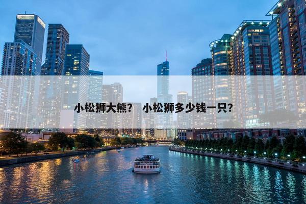小松狮大熊？ 小松狮多少钱一只？