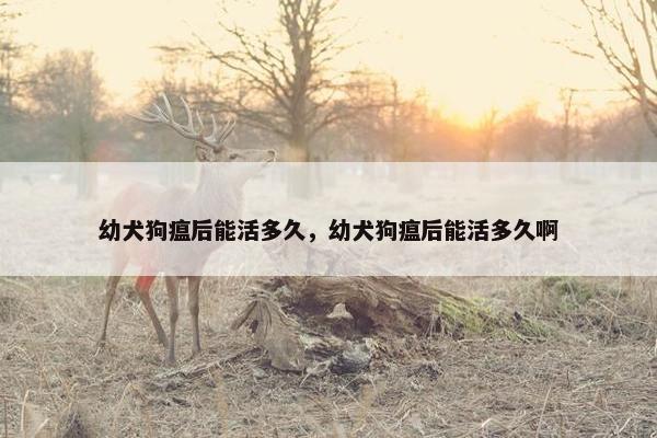 幼犬狗瘟后能活多久，幼犬狗瘟后能活多久啊