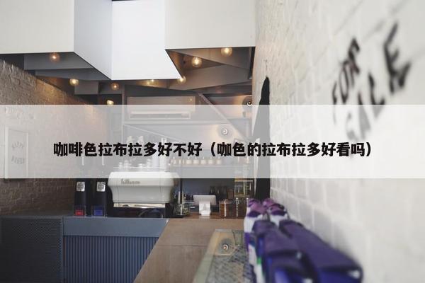 咖啡色拉布拉多好不好（咖色的拉布拉多好看吗）