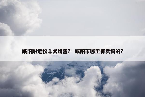 咸阳附近牧羊犬出售？ 咸阳市哪里有卖狗的？