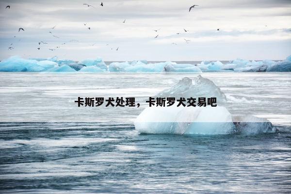 卡斯罗犬处理，卡斯罗犬交易吧