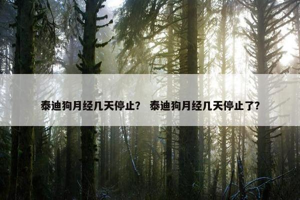 泰迪狗月经几天停止？ 泰迪狗月经几天停止了？