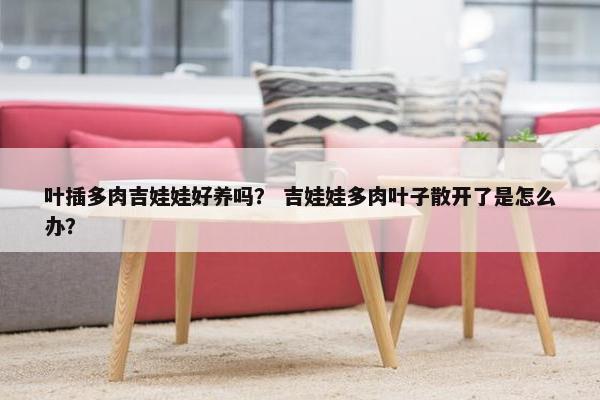 叶插多肉吉娃娃好养吗？ 吉娃娃多肉叶子散开了是怎么办？