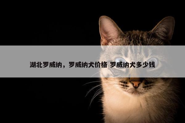 湖北罗威纳，罗威纳犬价格 罗威纳犬多少钱