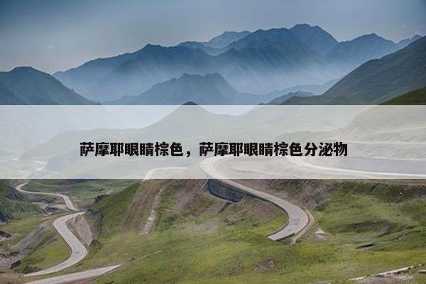 萨摩耶眼睛棕色，萨摩耶眼睛棕色分泌物