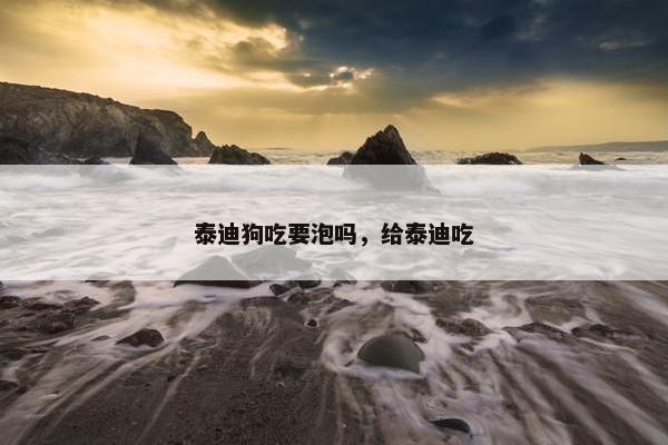 泰迪狗吃要泡吗，给泰迪吃